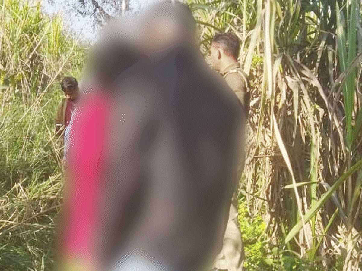 मेरठ में पेड़ से लटके मिले प्रेमी युगल के शव, आत्महत्या की आशंका मेरठ में पेड़ से लटके मिले प्रेमी युगल के शव, आत्महत्या की आशंका